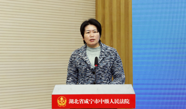 3咸宁市委常委、政法委书记 谭海华.jpg